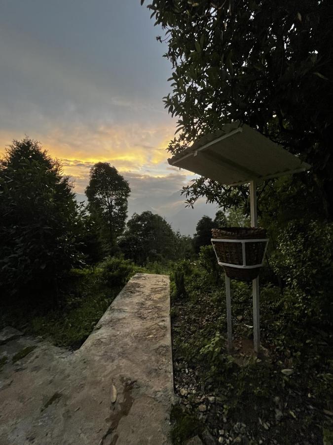 The Nettle And Fern Farmstay Pelling Exterior photo