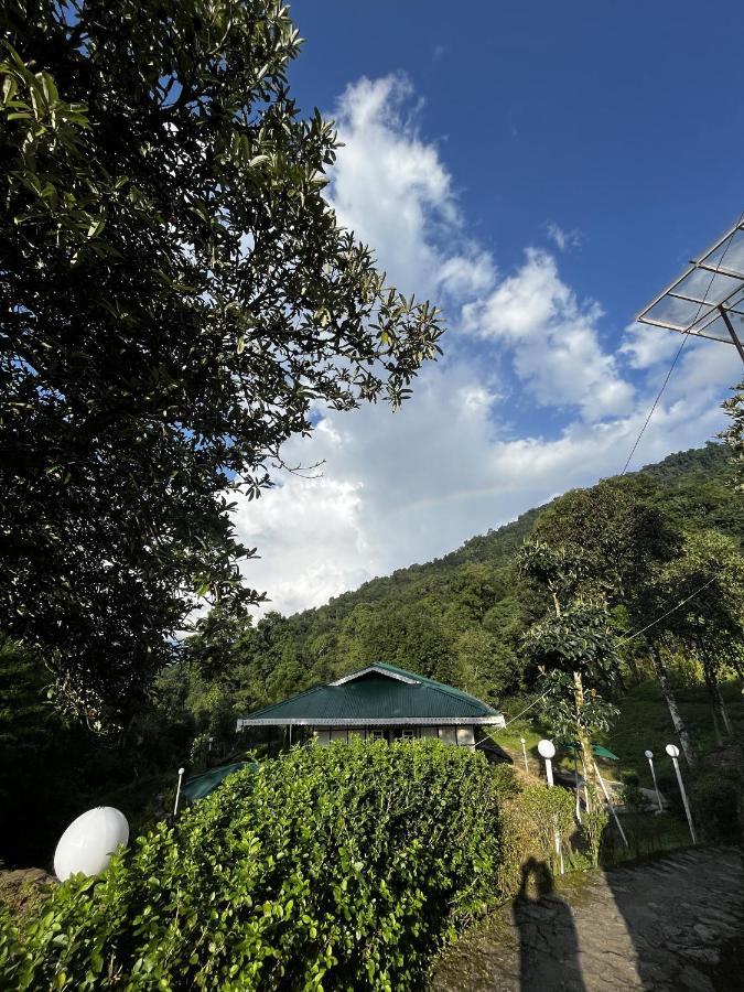 The Nettle And Fern Farmstay Pelling Exterior photo