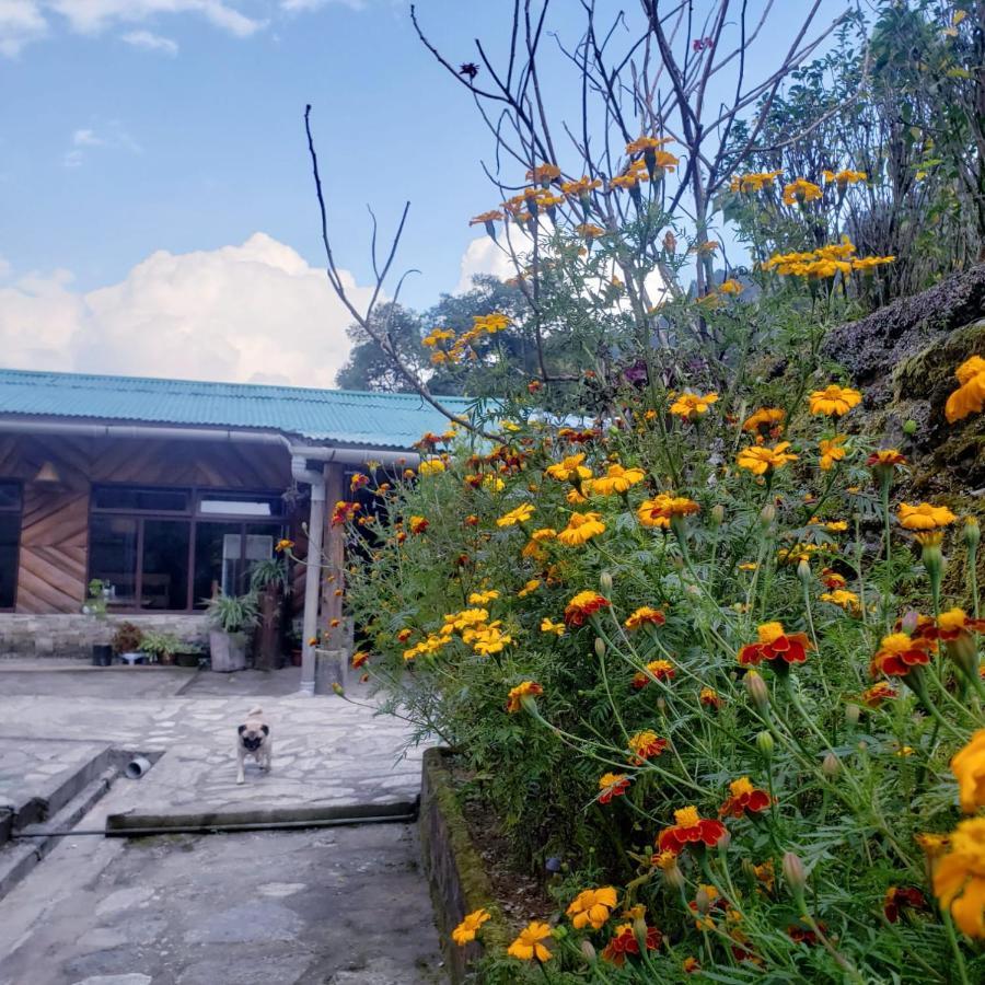 The Nettle And Fern Farmstay Pelling Exterior photo